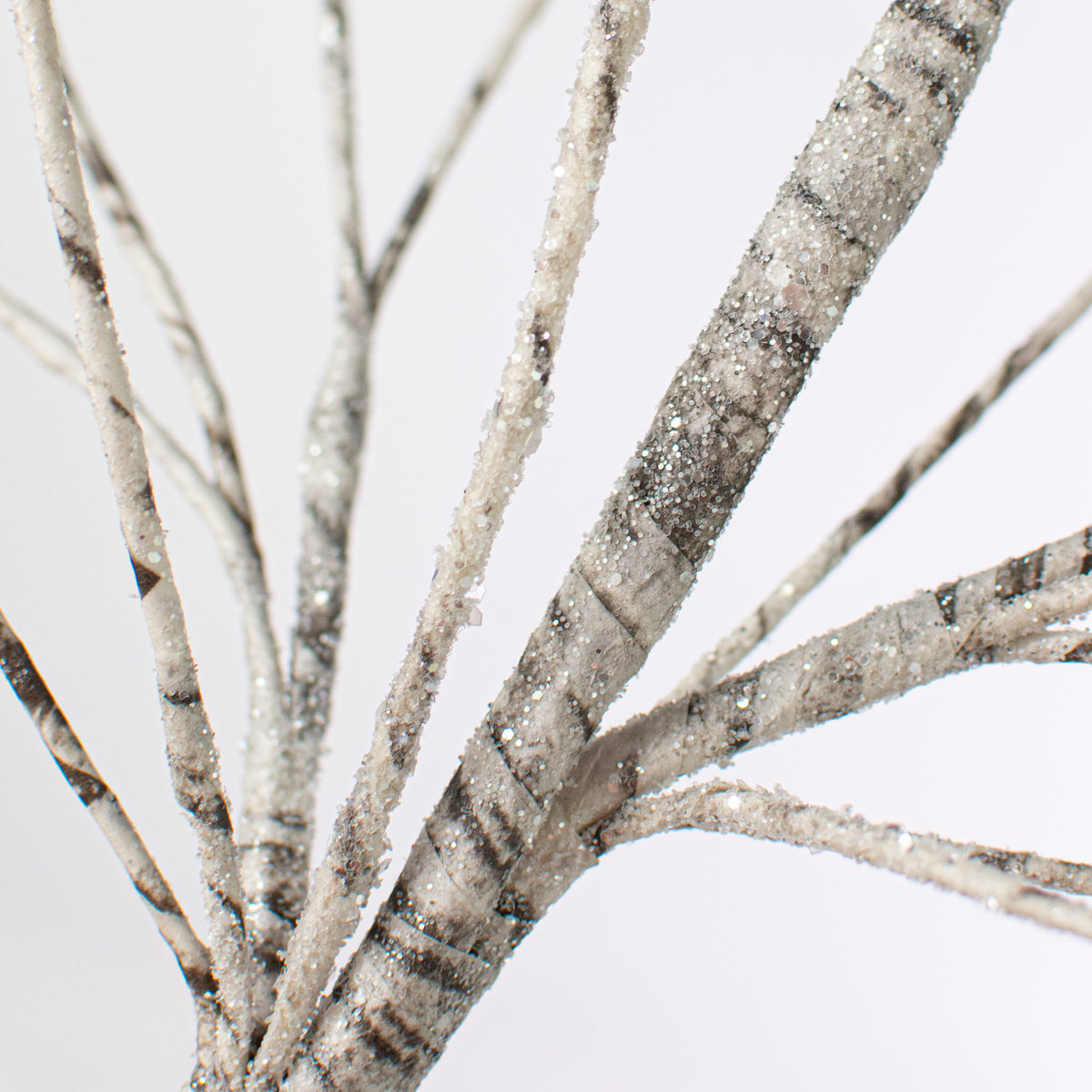 30" Birch Spray Lifestyle Photo