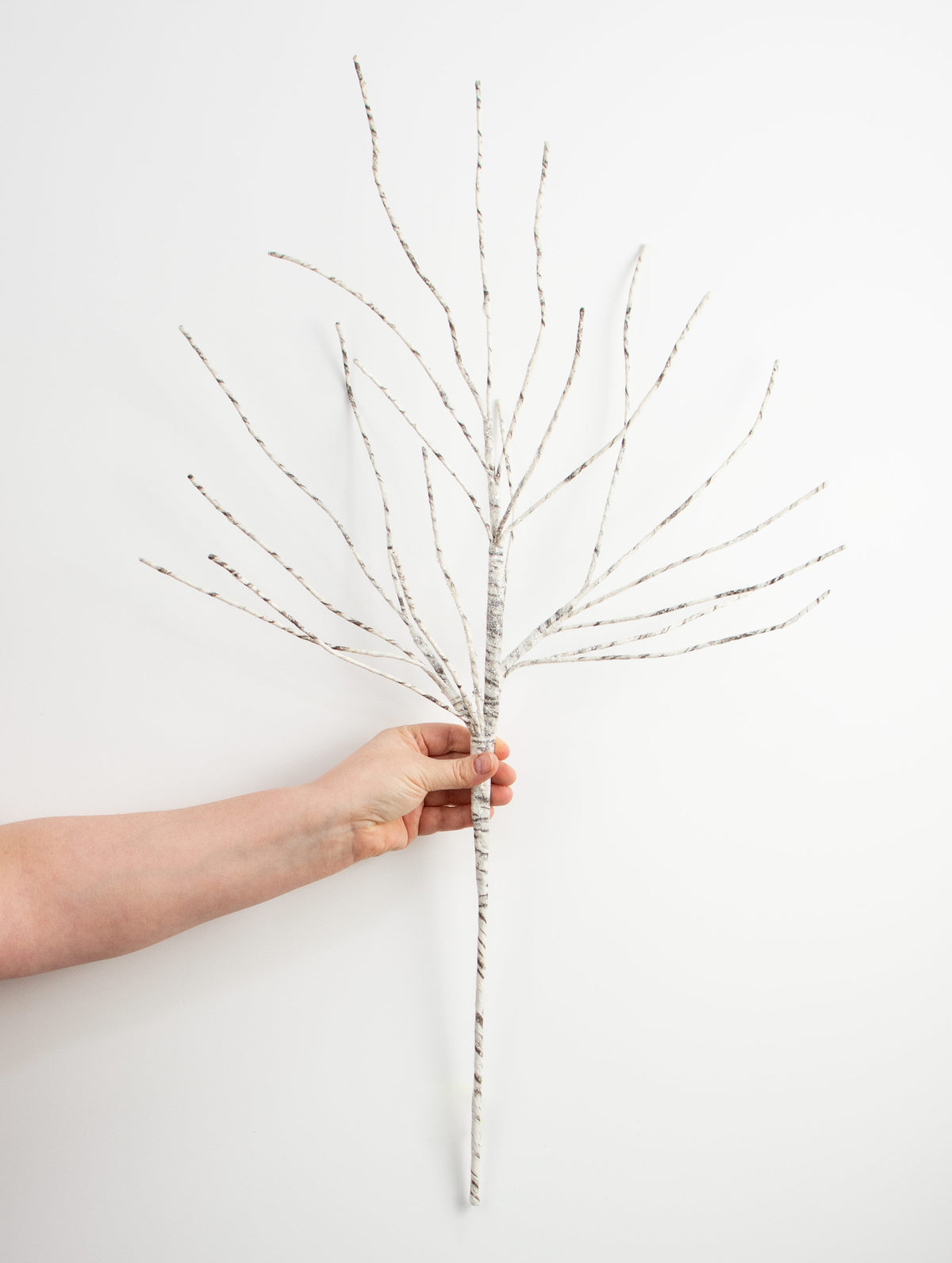 30" Birch Spray detail photo 3