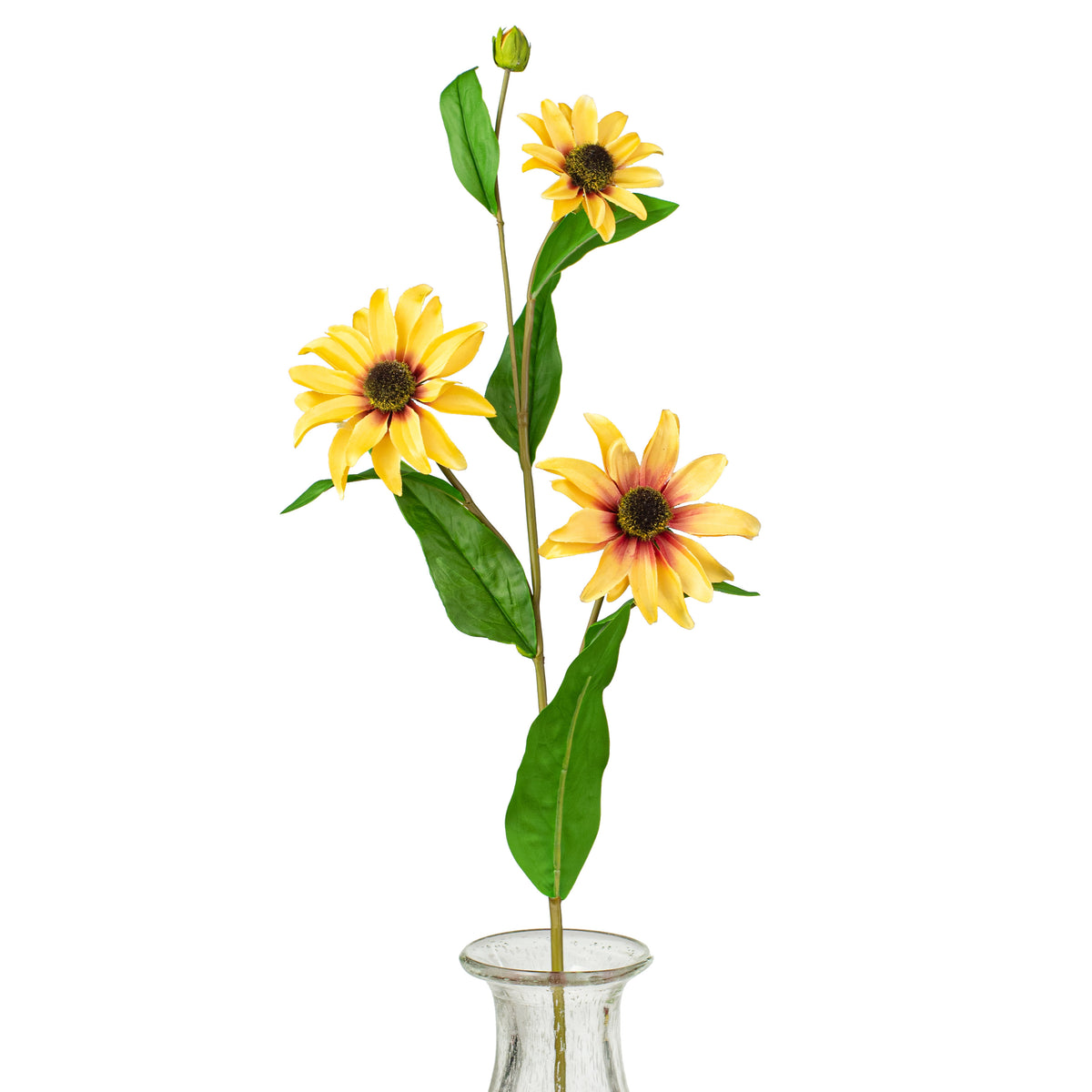 32" Black Eye Susan Item Number: 287081