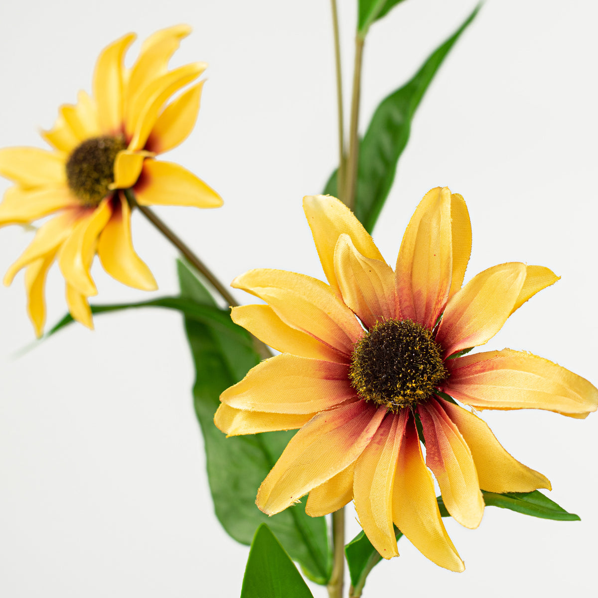 32" Black Eye Susan detail photo 4