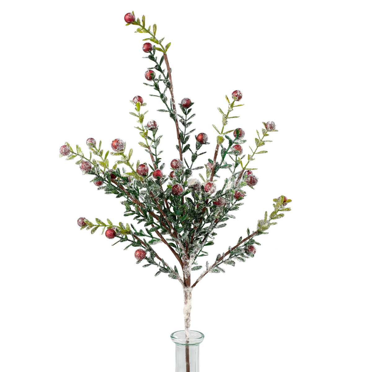 21" Boxwood Snow Berry Spray Item Number: 272672