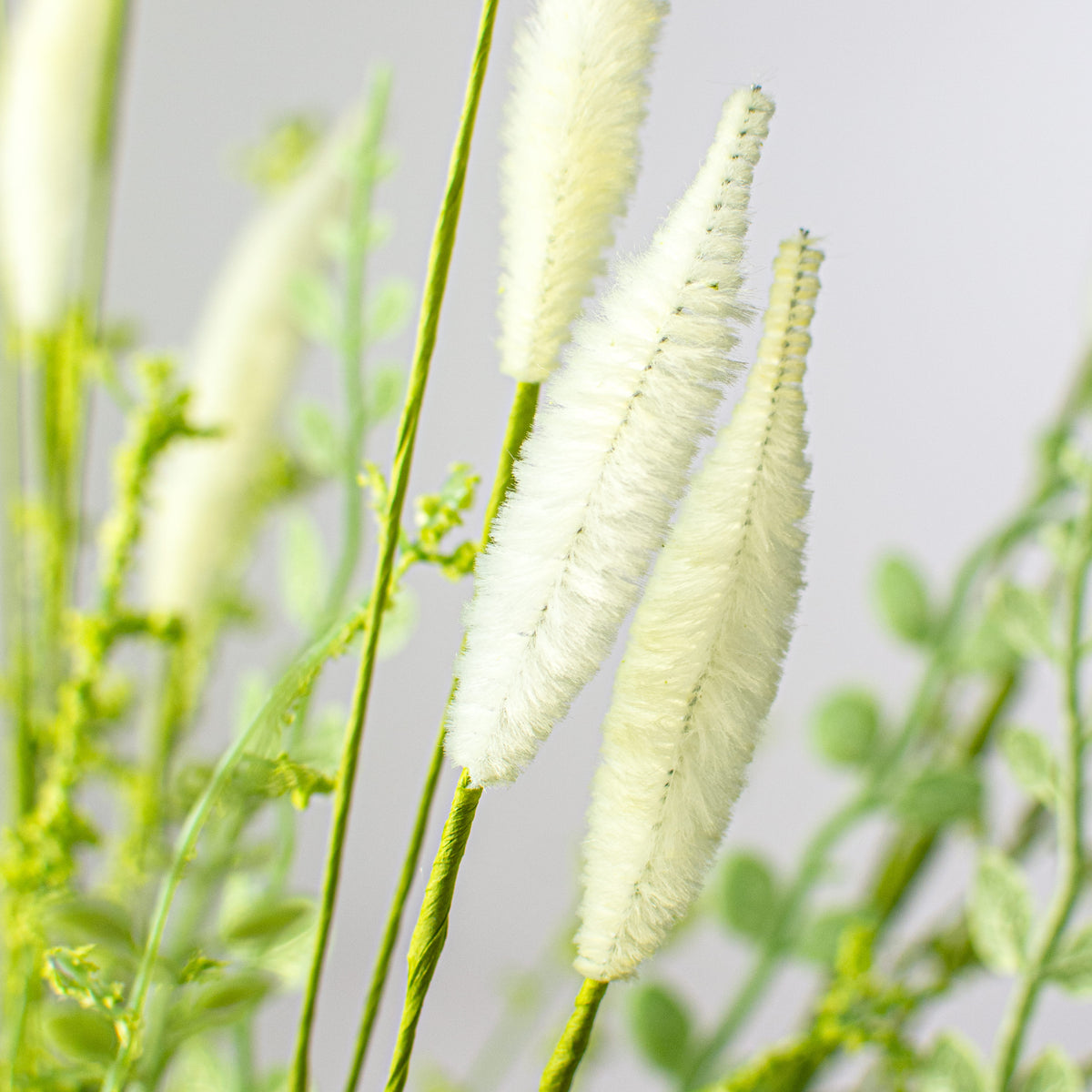 24" Bunny Tail & Leaves Bush: Cream Lifestyle Photo