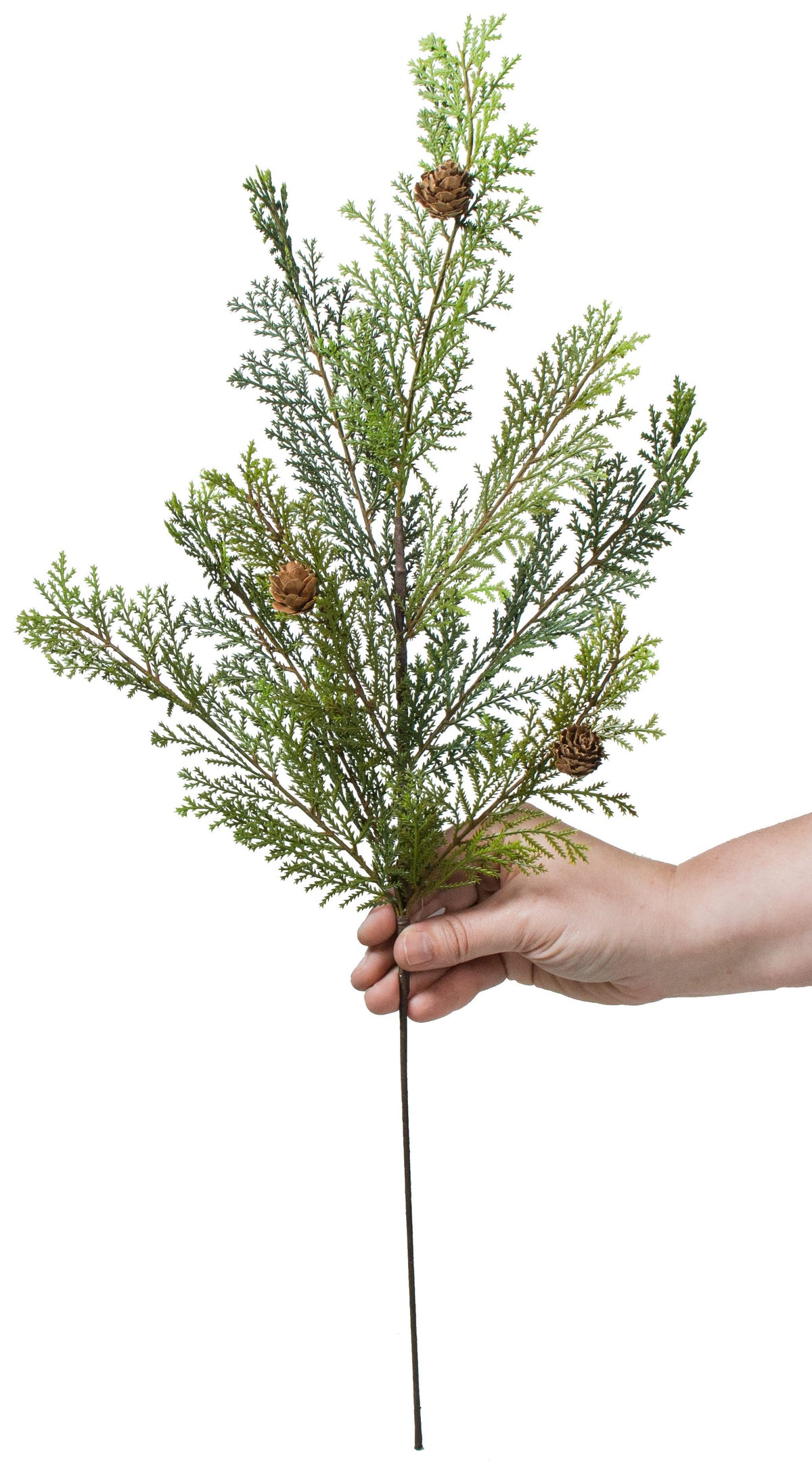 23" Cedar Pine & Pinecone Spray Lifestyle Photo