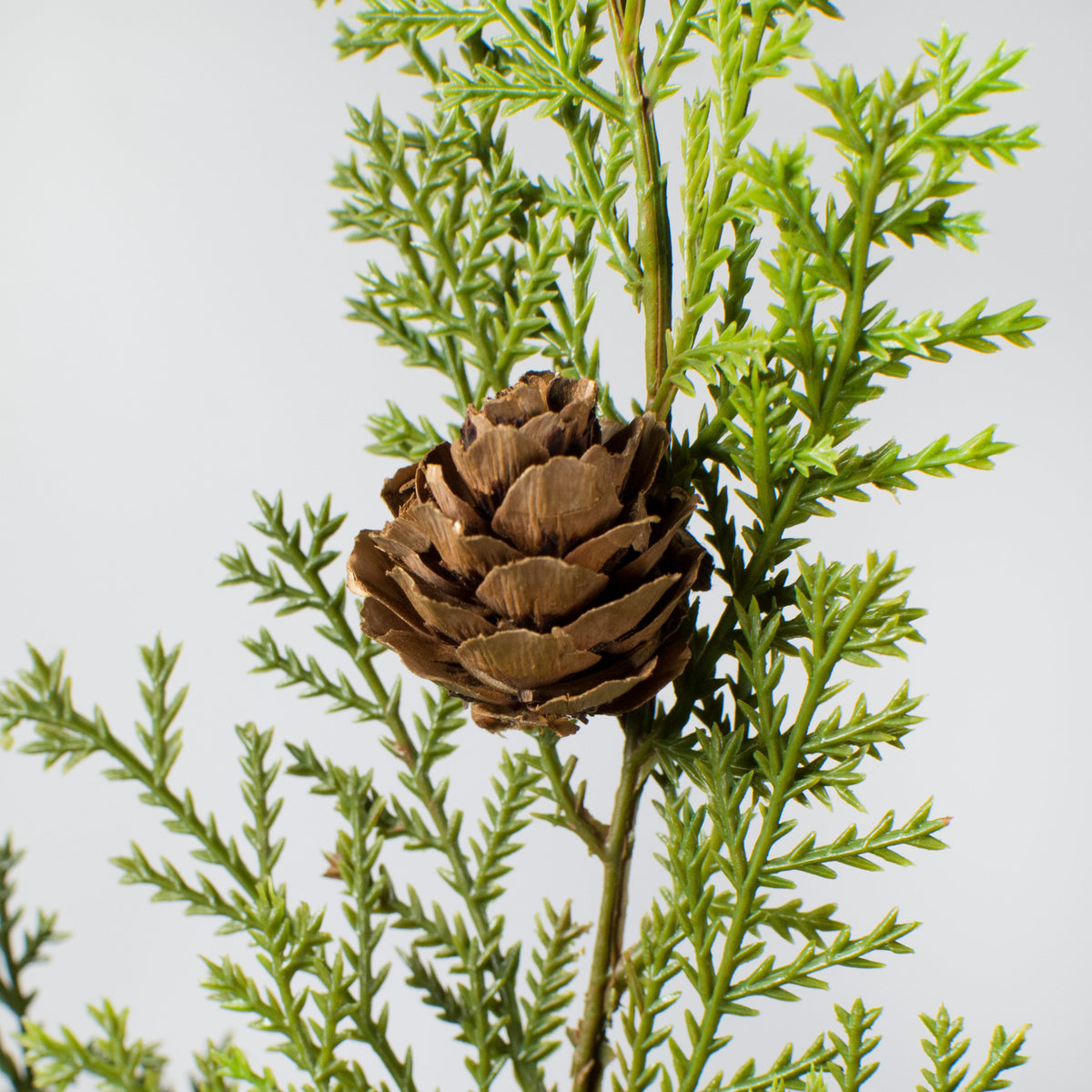 23" Cedar Pine & Pinecone Spray detail photo 3