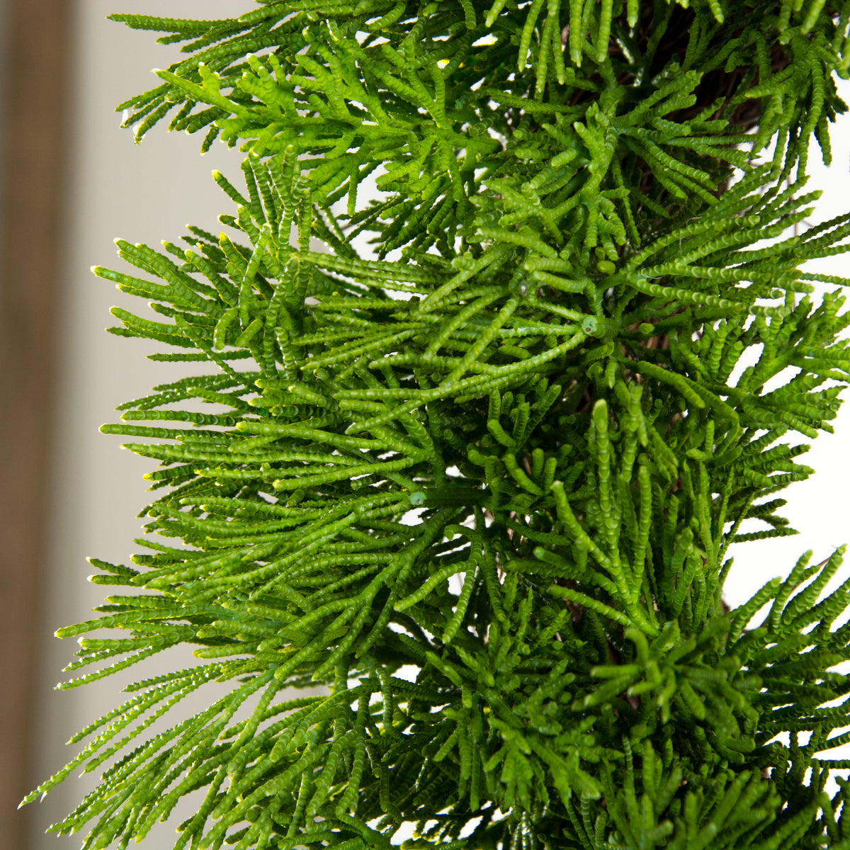 15" Cedar Pine Wreath detail photo 4