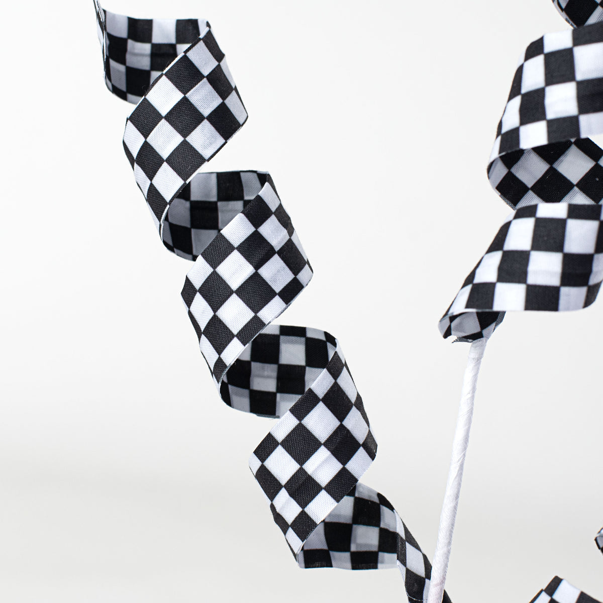 24" Checker Curly Spray: Black & White Lifestyle Photo