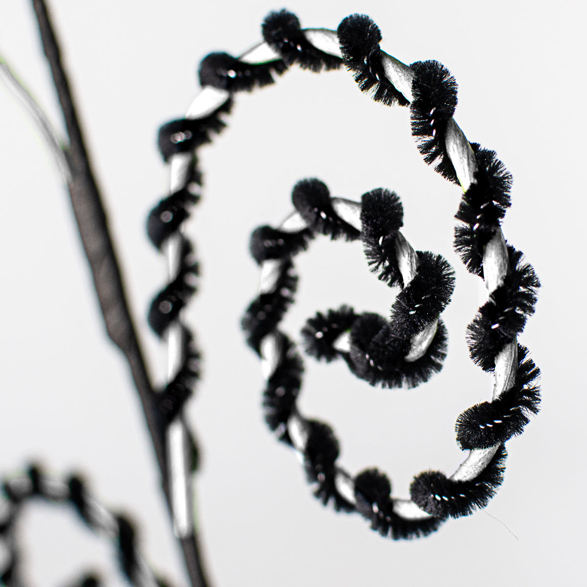 26" Chenille Curly Spray: White & Black Lifestyle Photo
