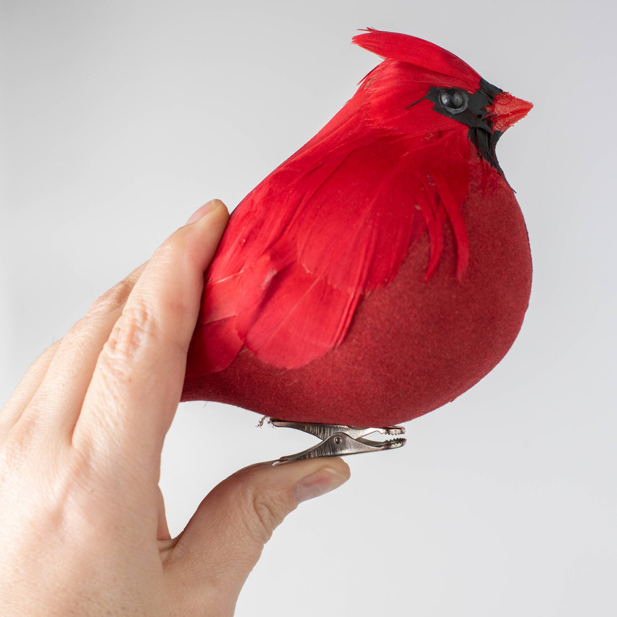 7" Chubby Feathered Cardinal with Clip Ornament detail photo 3