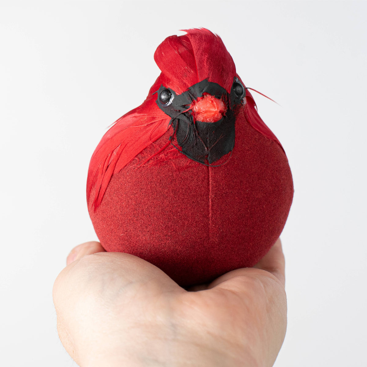 7" Chubby Feathered Cardinal with Clip Ornament detail photo 4