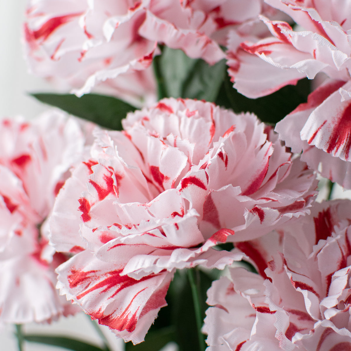 20" Colorfast Carnation Bush: Peppermint Lifestyle Photo