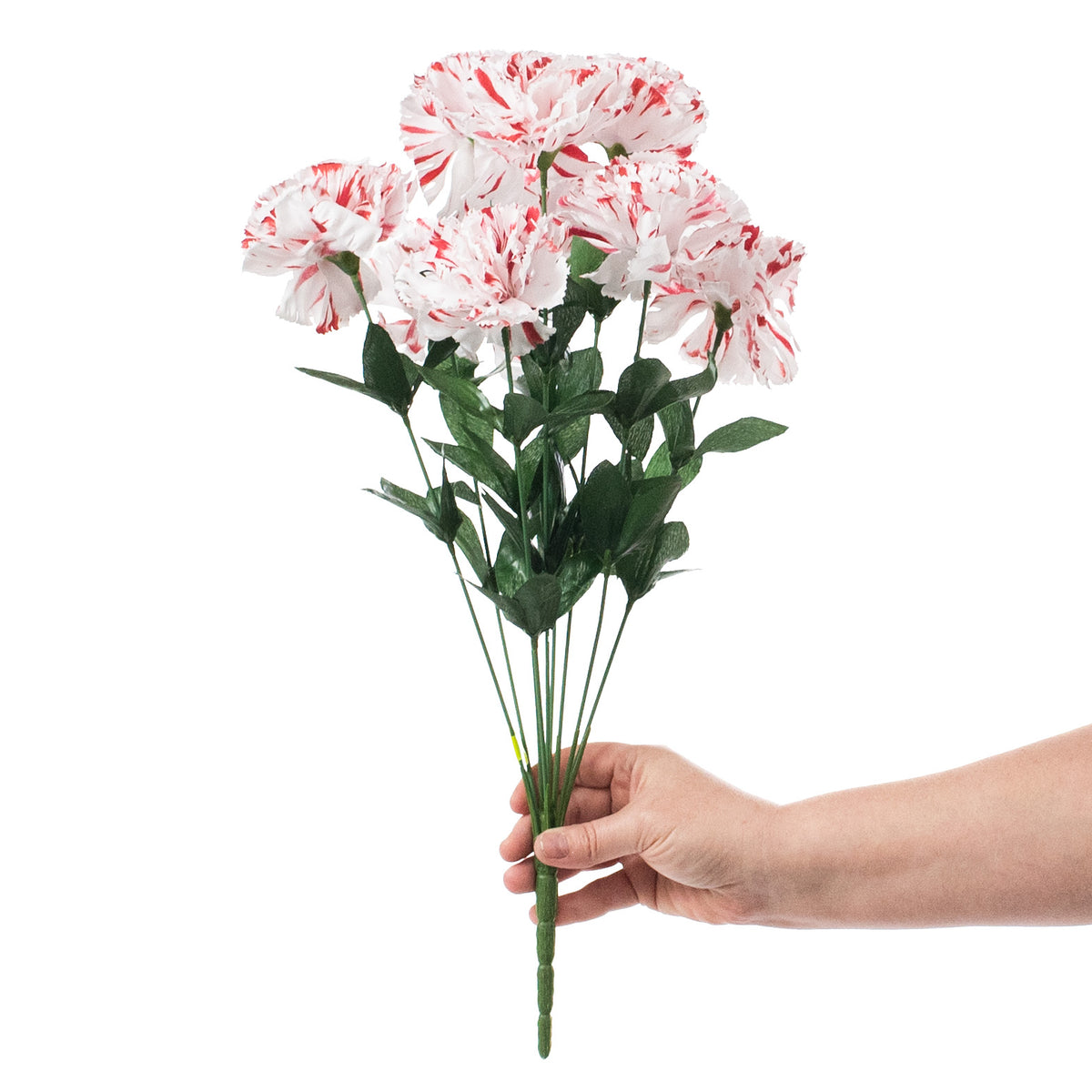 20" Colorfast Carnation Bush: Peppermint detail photo 3