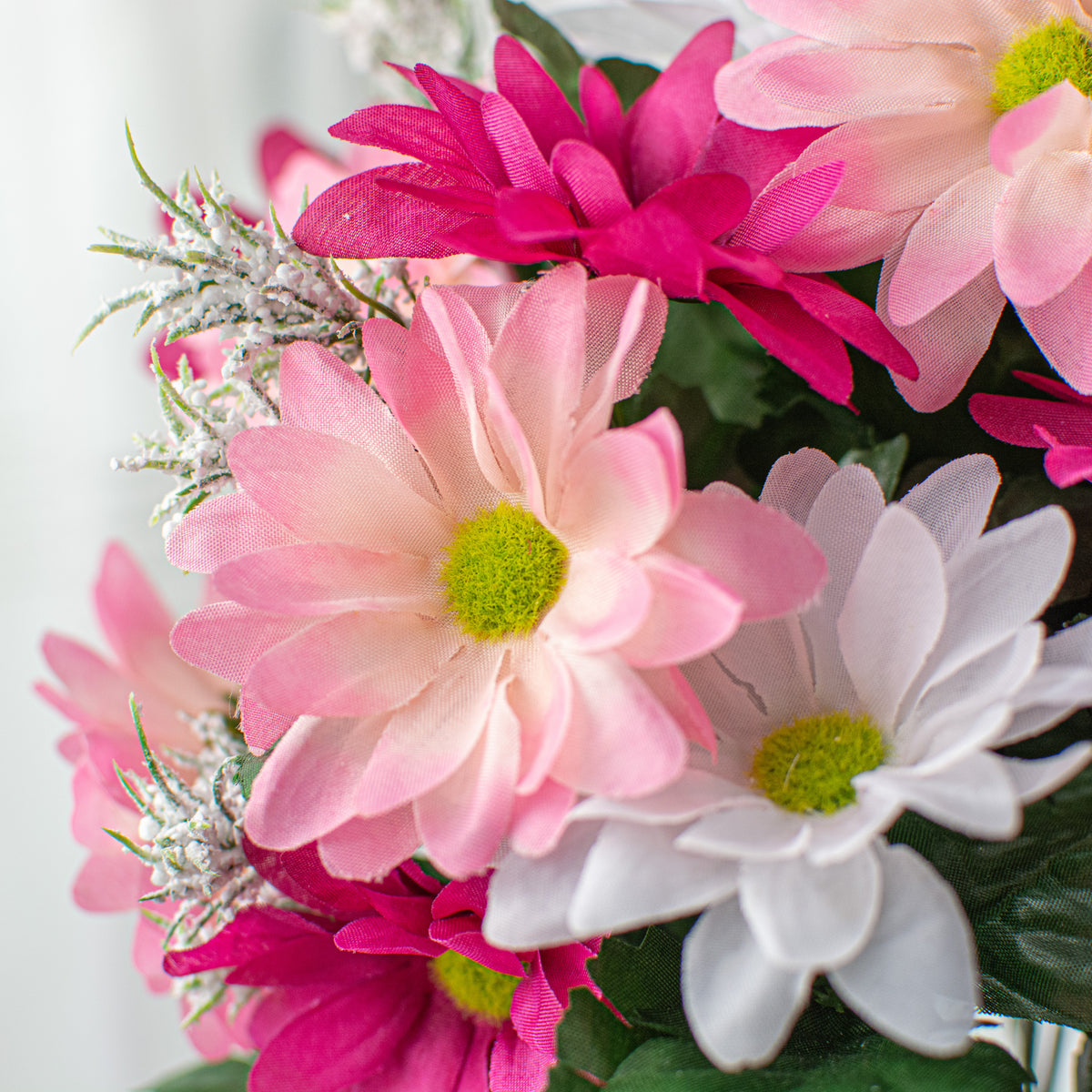 17" Colorfast Daisy Mix Bush: Fuchsia & Pink Lifestyle Photo