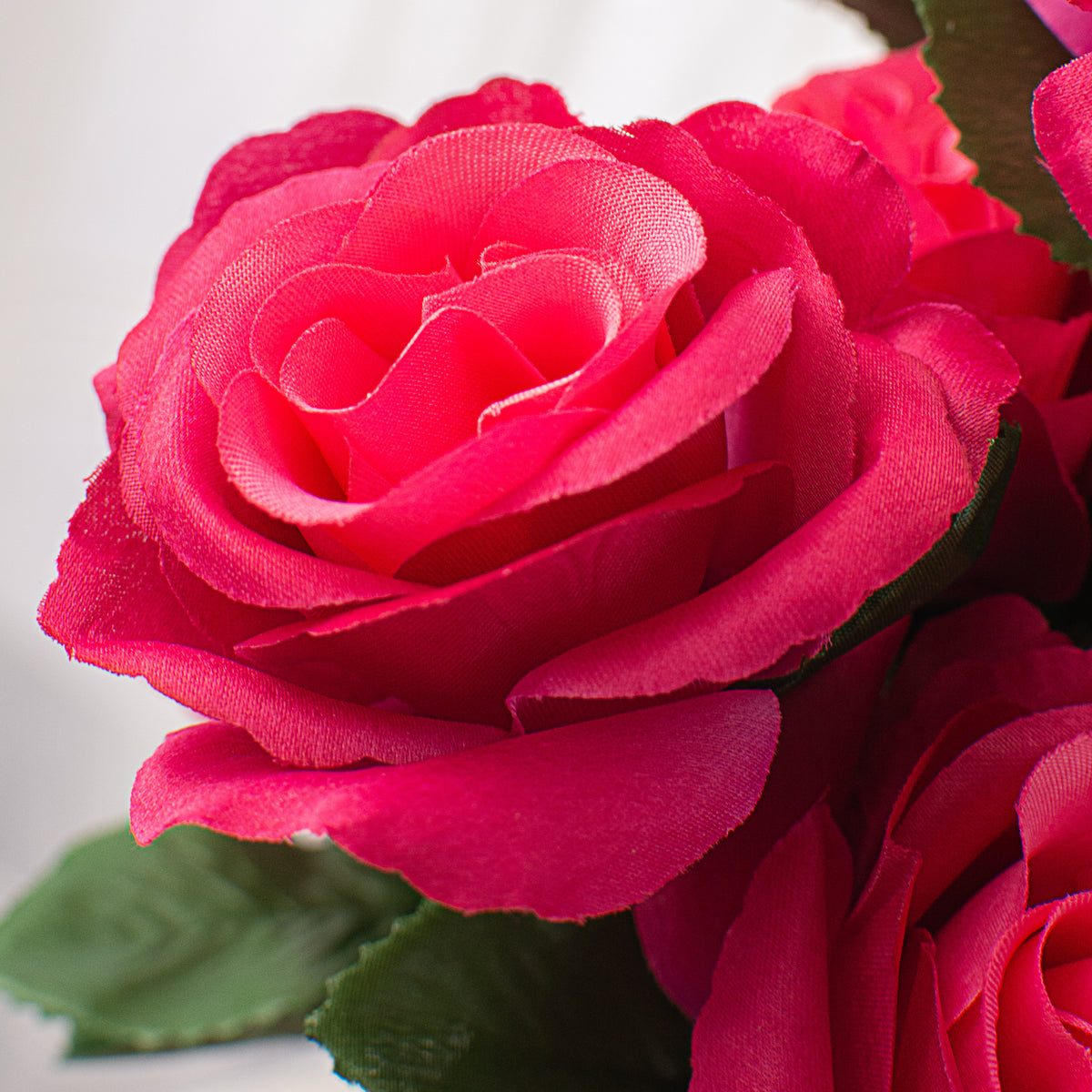17" Colorfast Lillian Open Rose Bush: Fuchsia Pink Lifestyle Photo