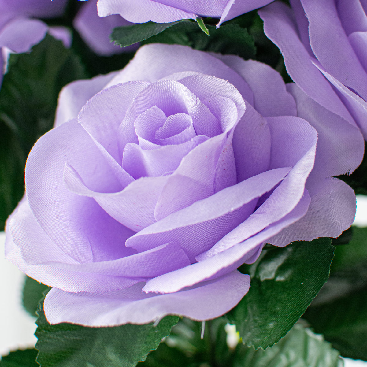 17" Colorfast Lillian Open Rose Bush: Lavender Lifestyle Photo