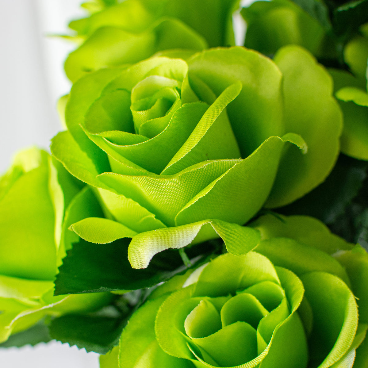 17" Colorfast Lillian Open Rose Bush: Lime Lifestyle Photo