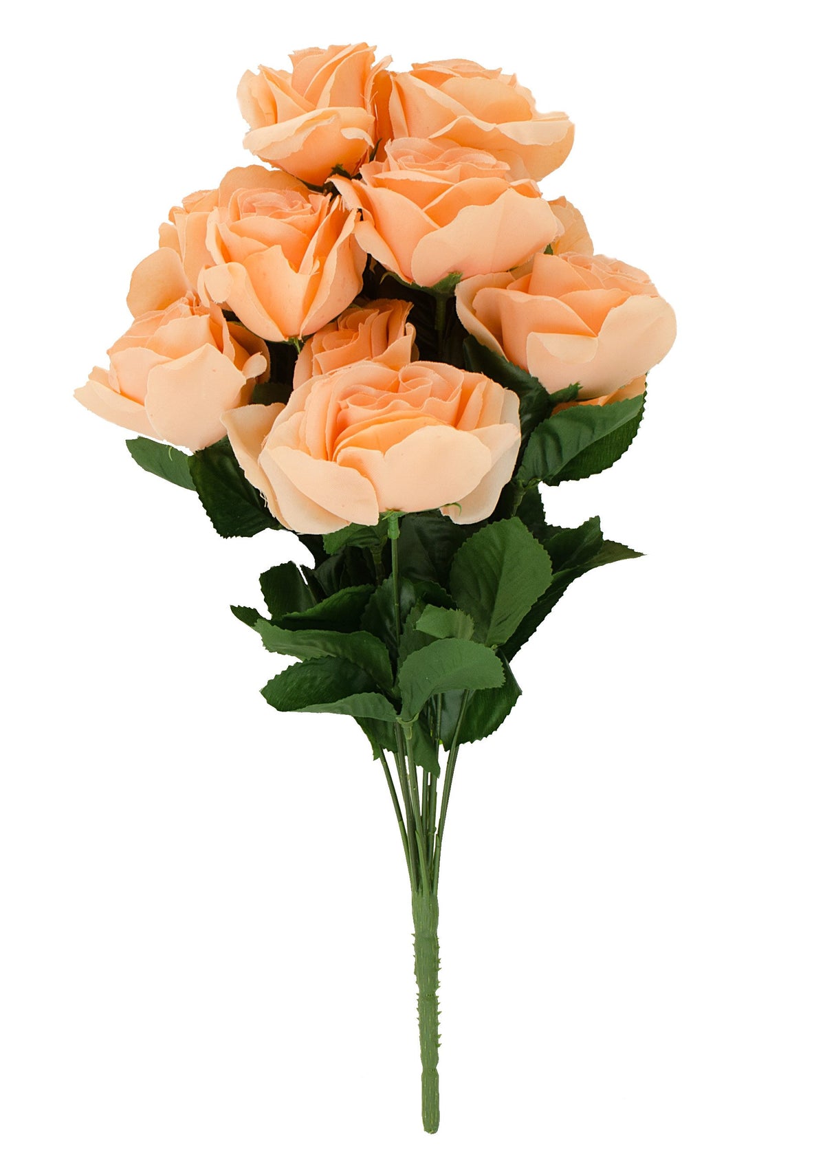 17" Colorfast Lillian Open Rose Bush (12): Peach detail photo 3