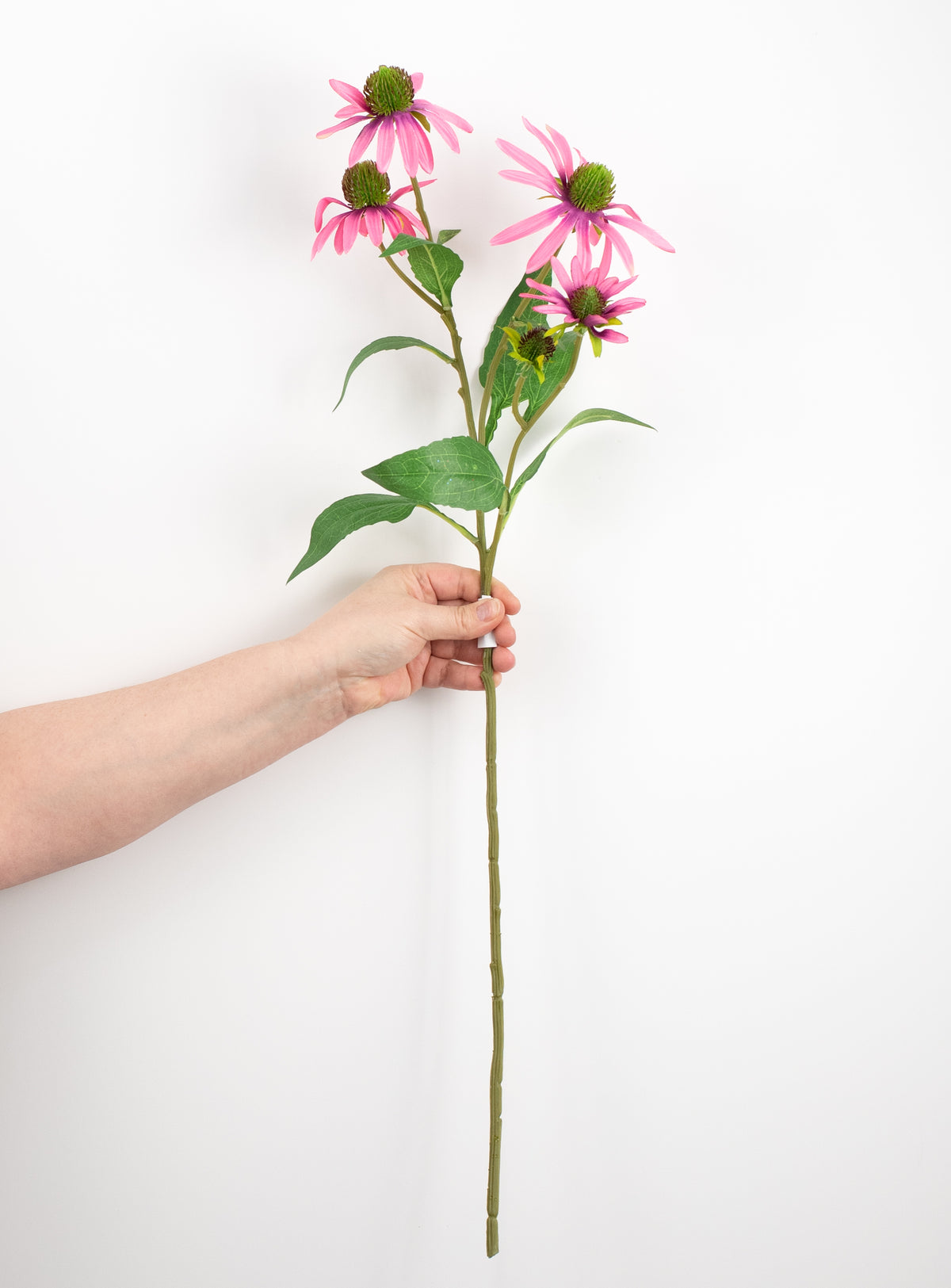 28" Coneflower Spray: Pink detail photo 3