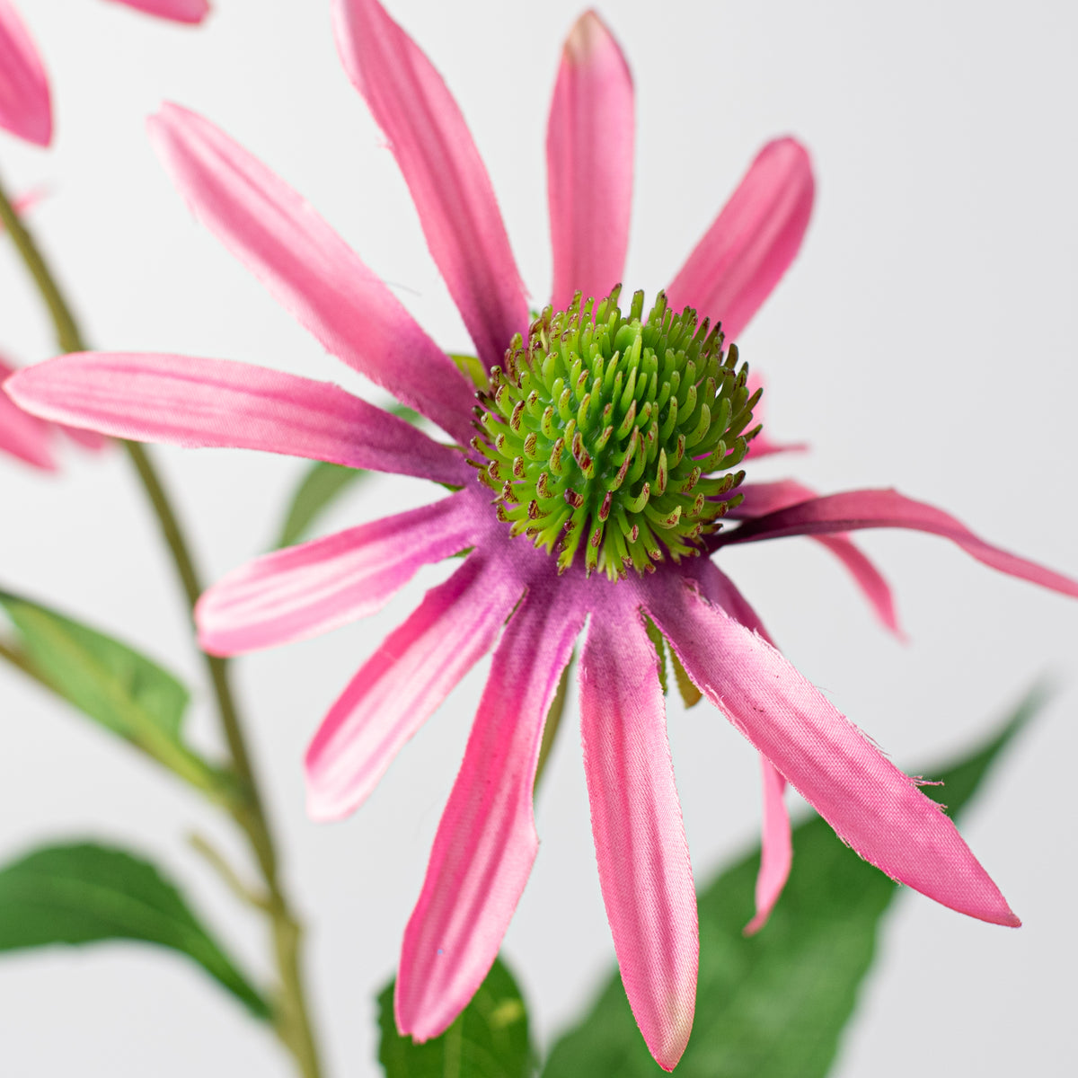 28" Coneflower Spray: Pink detail photo 4