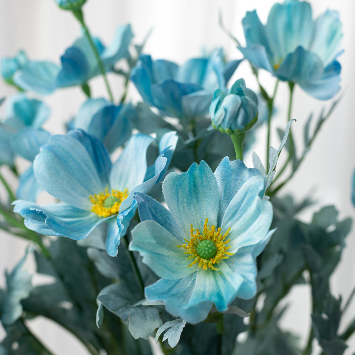 22" Cosmos Bush: Teal Blue (12 Stem) Lifestyle Photo