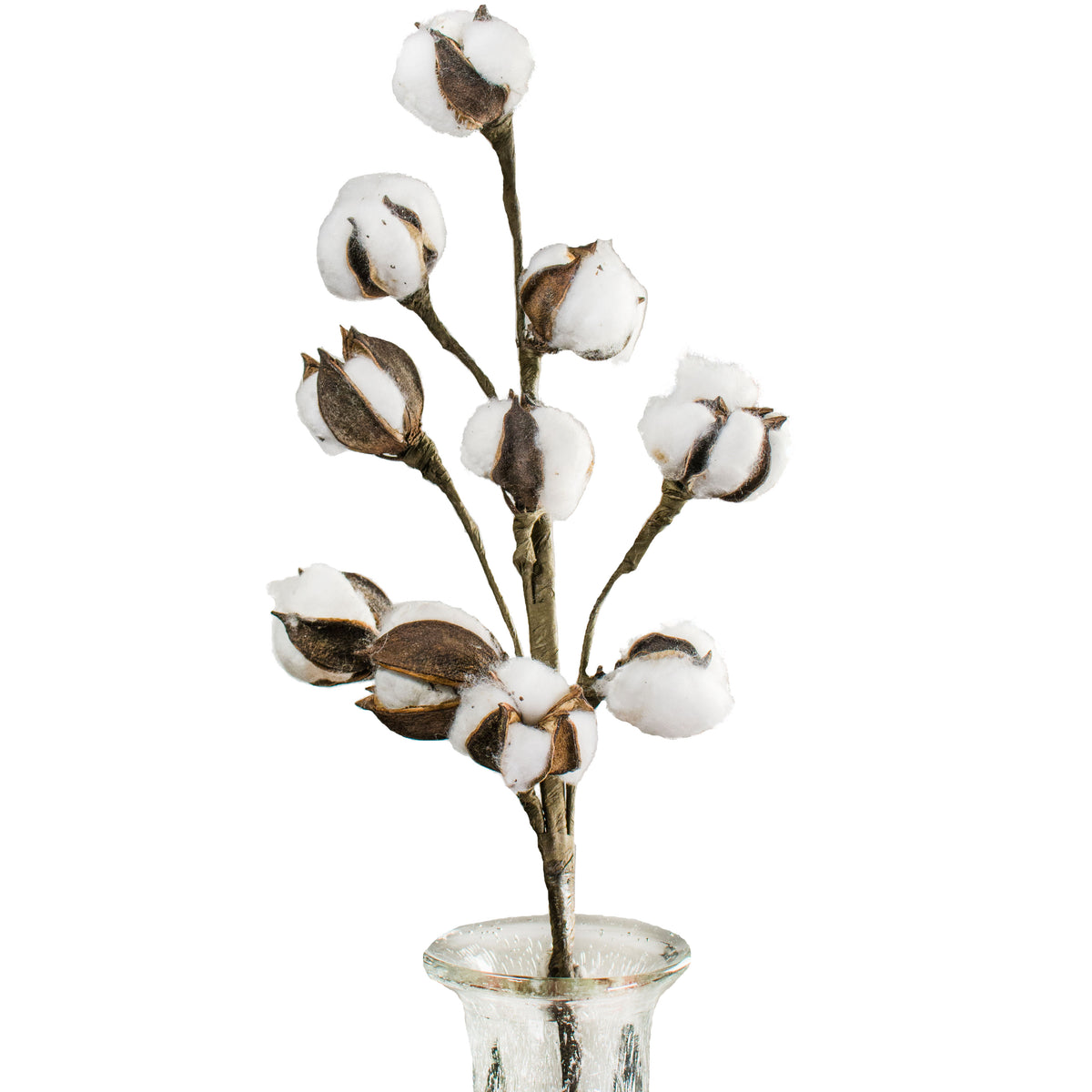 18" Cotton Bud Spray Item Number: FH7797