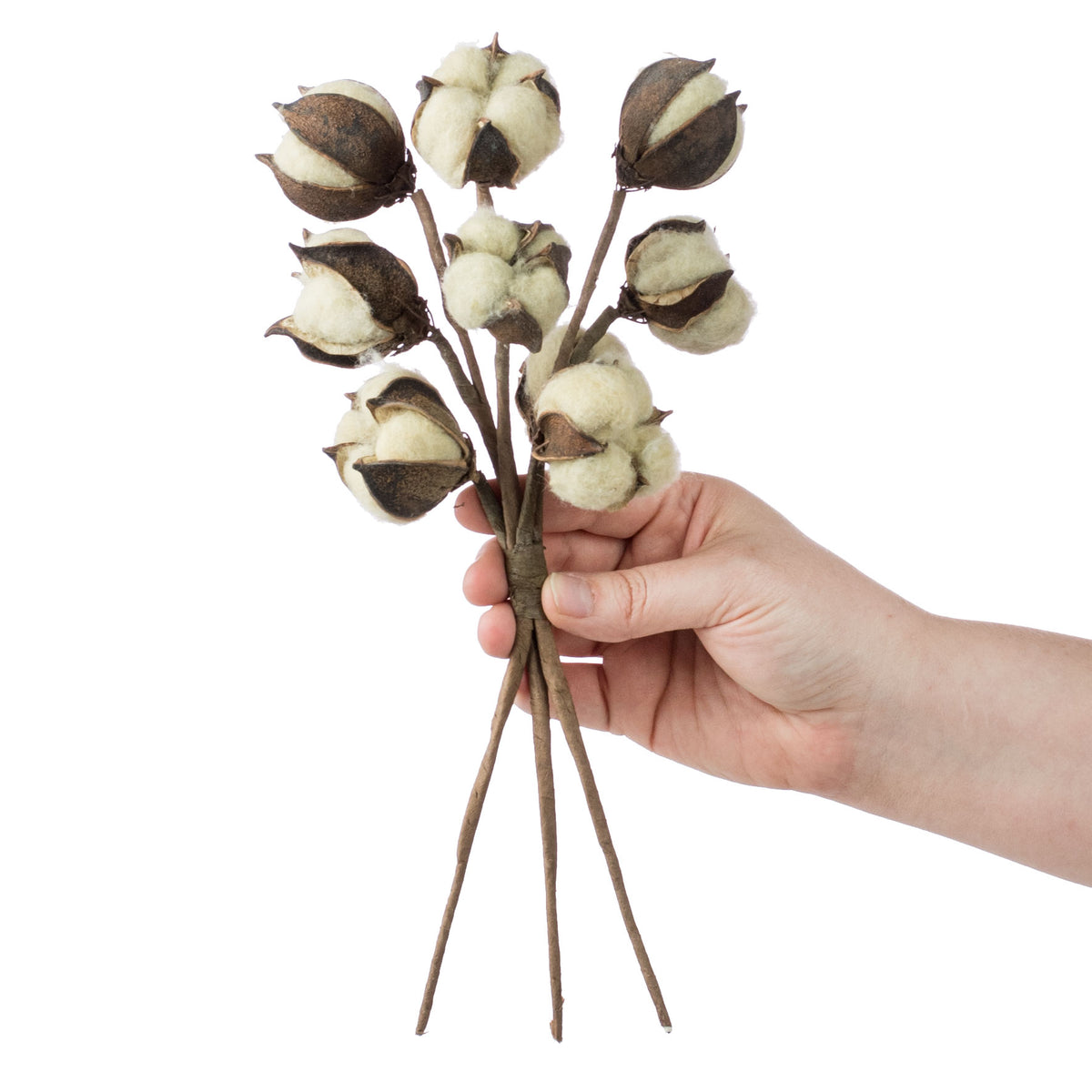 13" Cotton Bush: Tea Stain Lifestyle Photo