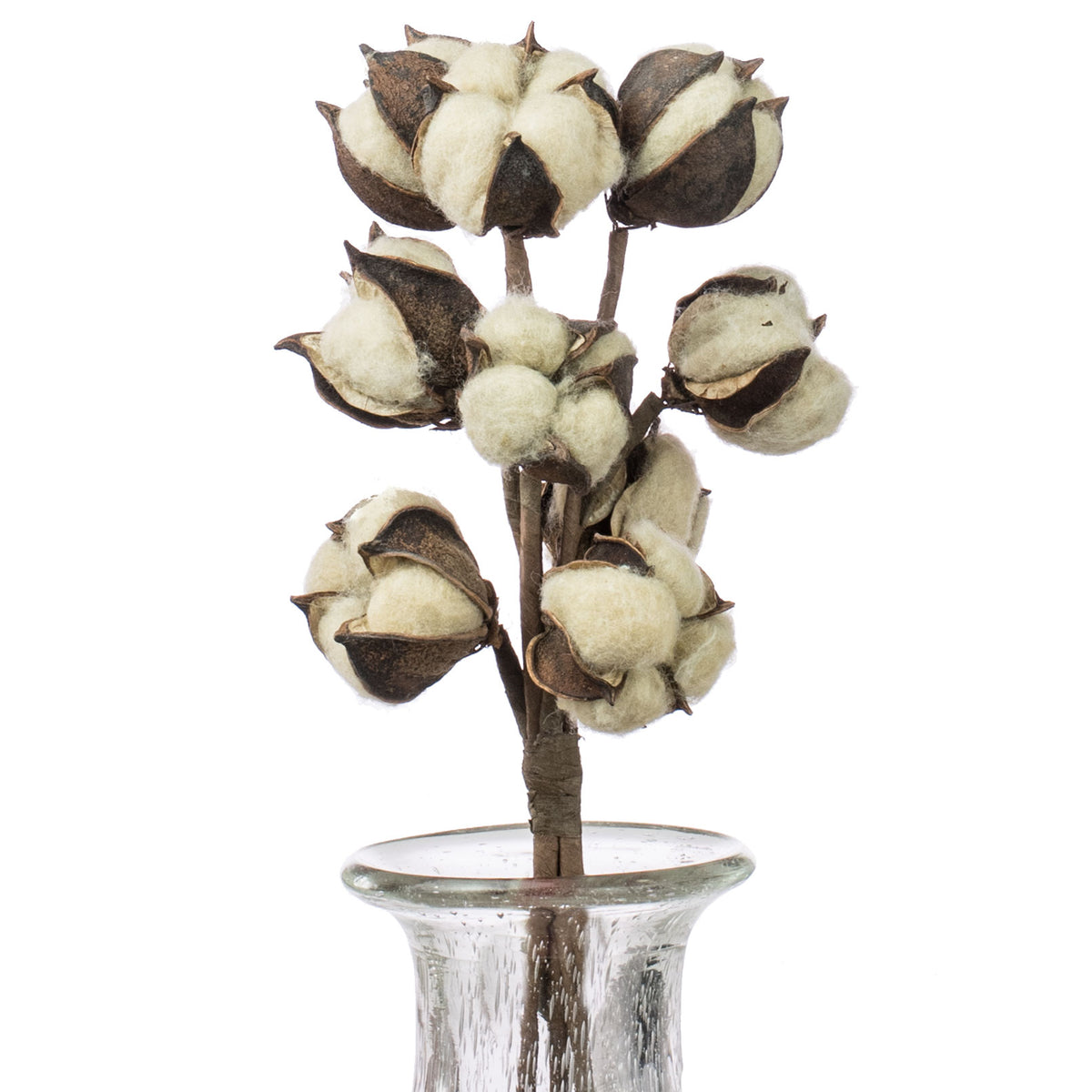 13" Cotton Bush: Tea Stain Item Number: ISB69595
