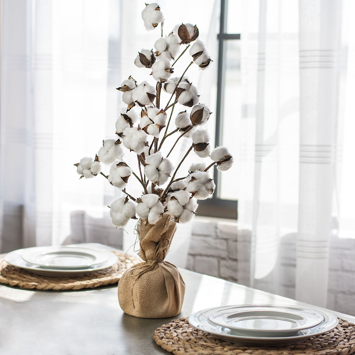 24" Cotton Tree With Burlap Base Lifestyle Photo