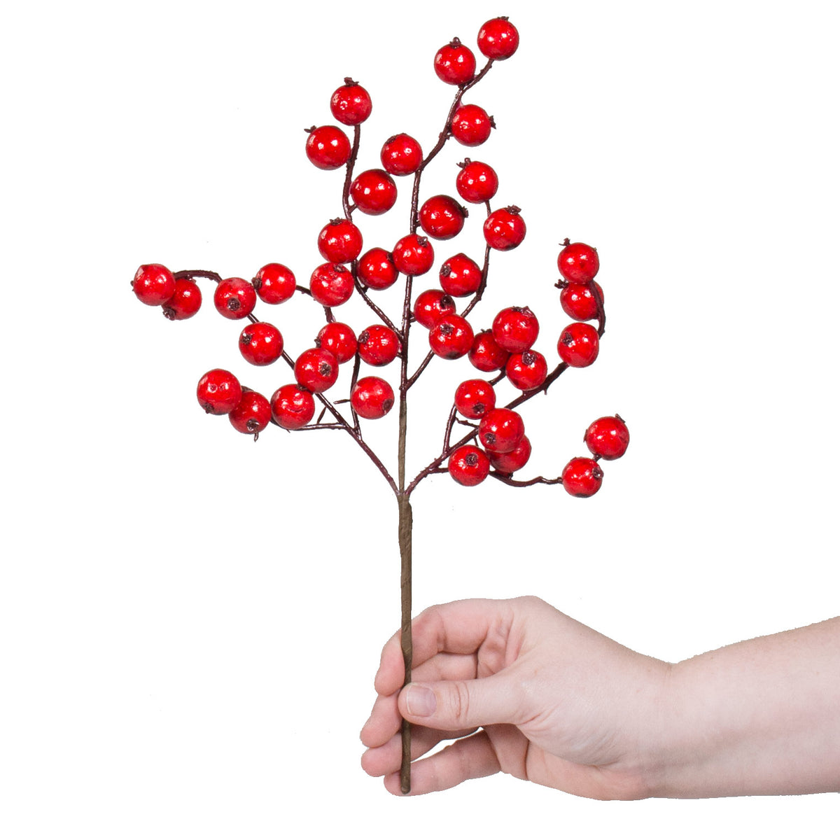 12" Crabapple Berry Pick: Shiny Red Lifestyle Photo