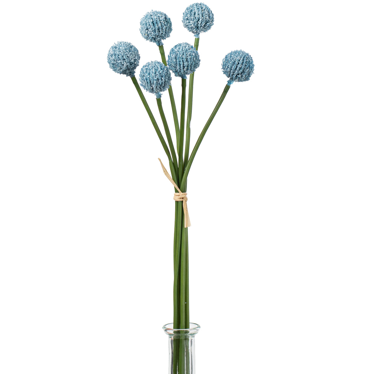 16" Craspedia Billy Balls: Blue Item Number: 2150140BL
