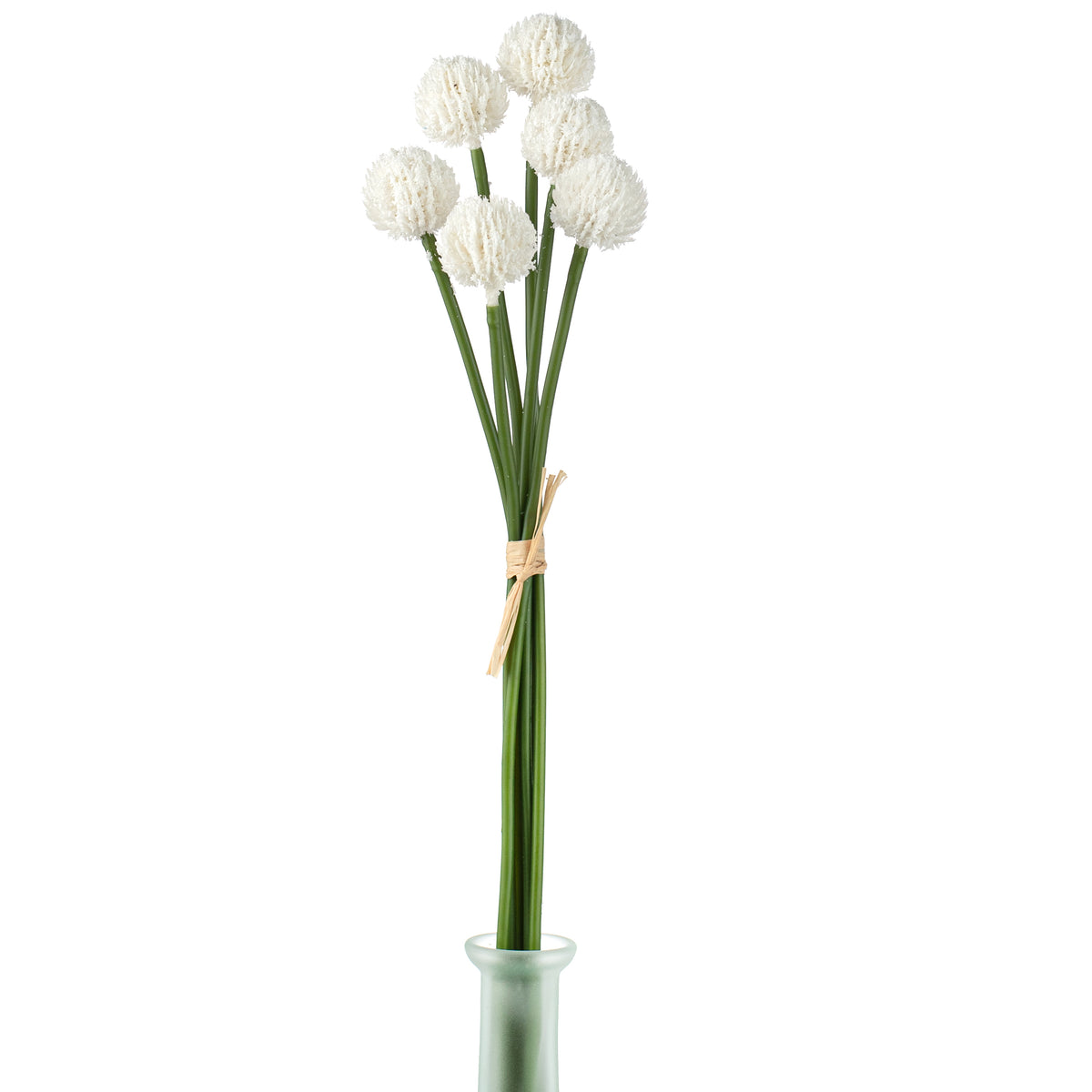 16" Craspedia Billy Balls: White Item Number: 2150140WH