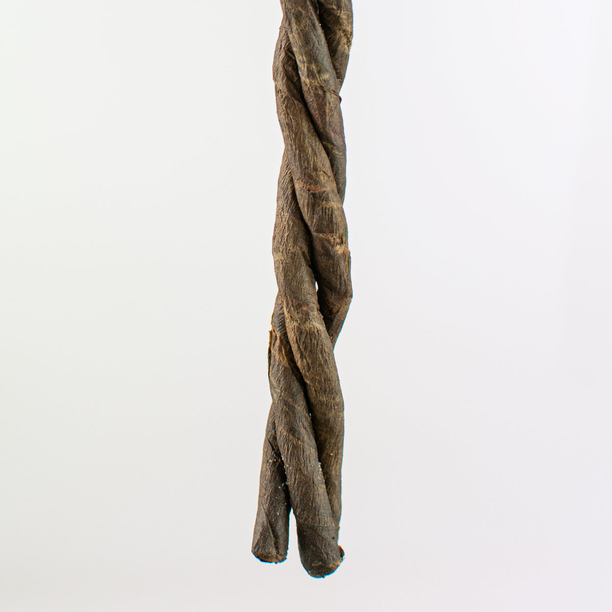 28" Curly Willow Twig detail photo 4