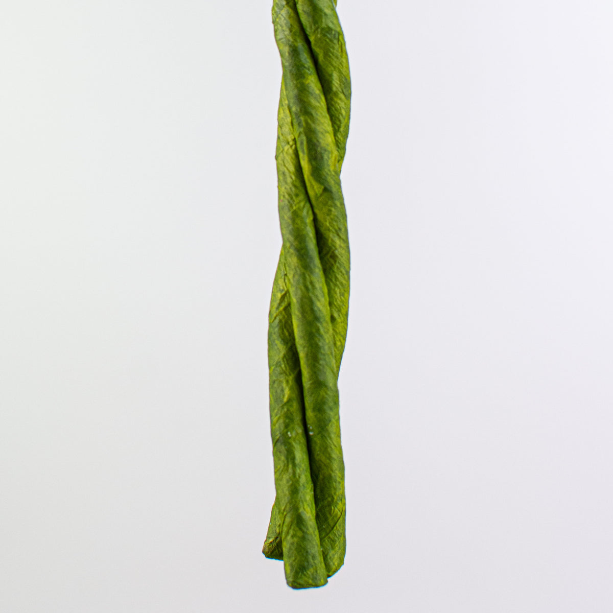 28" Curly Willow Twig: Green detail photo 4