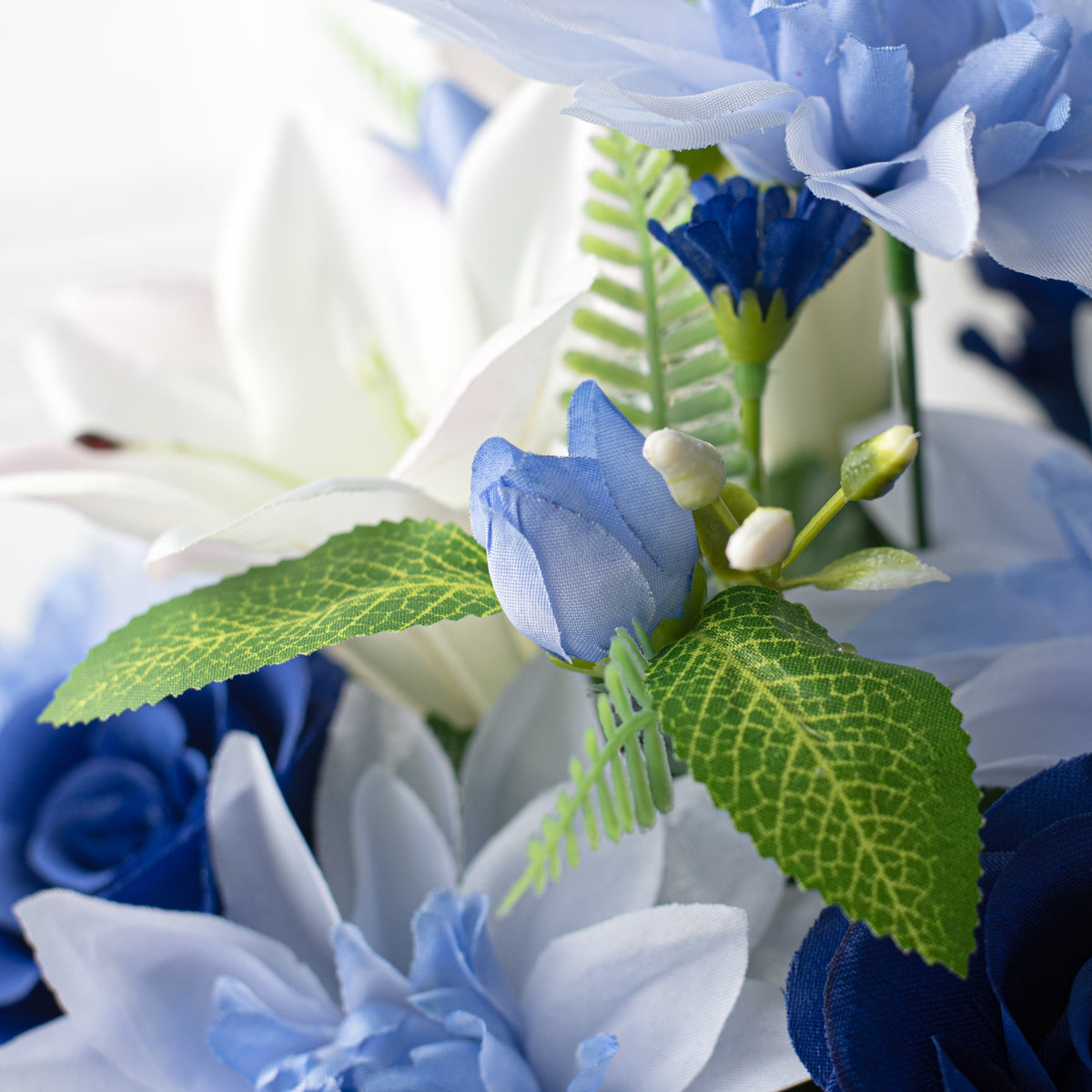 16" Dahlia Lily Rose Bush: Blue (12) Lifestyle Photo