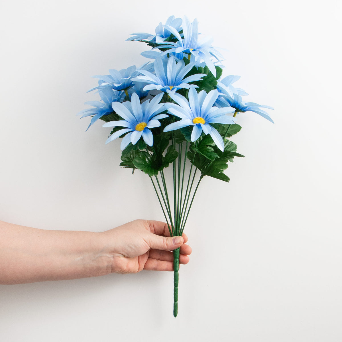 19" Daisy Bush: Blue (12 Stem) detail photo 3