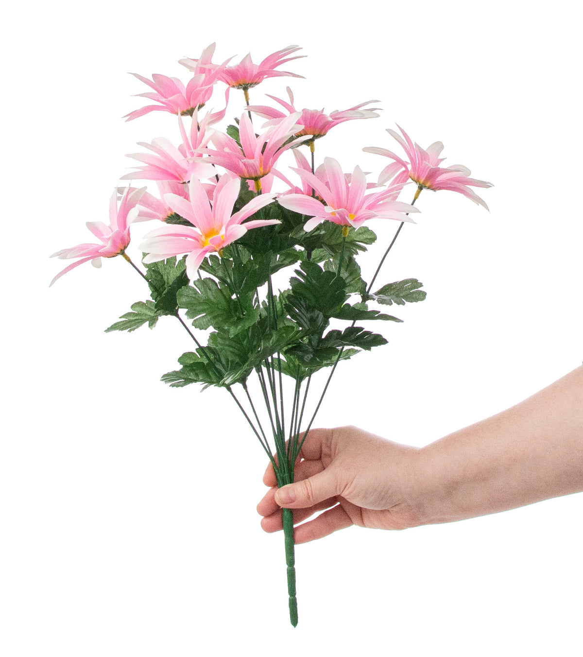 19" Daisy Bush: Pink (12 Stem) detail photo 3