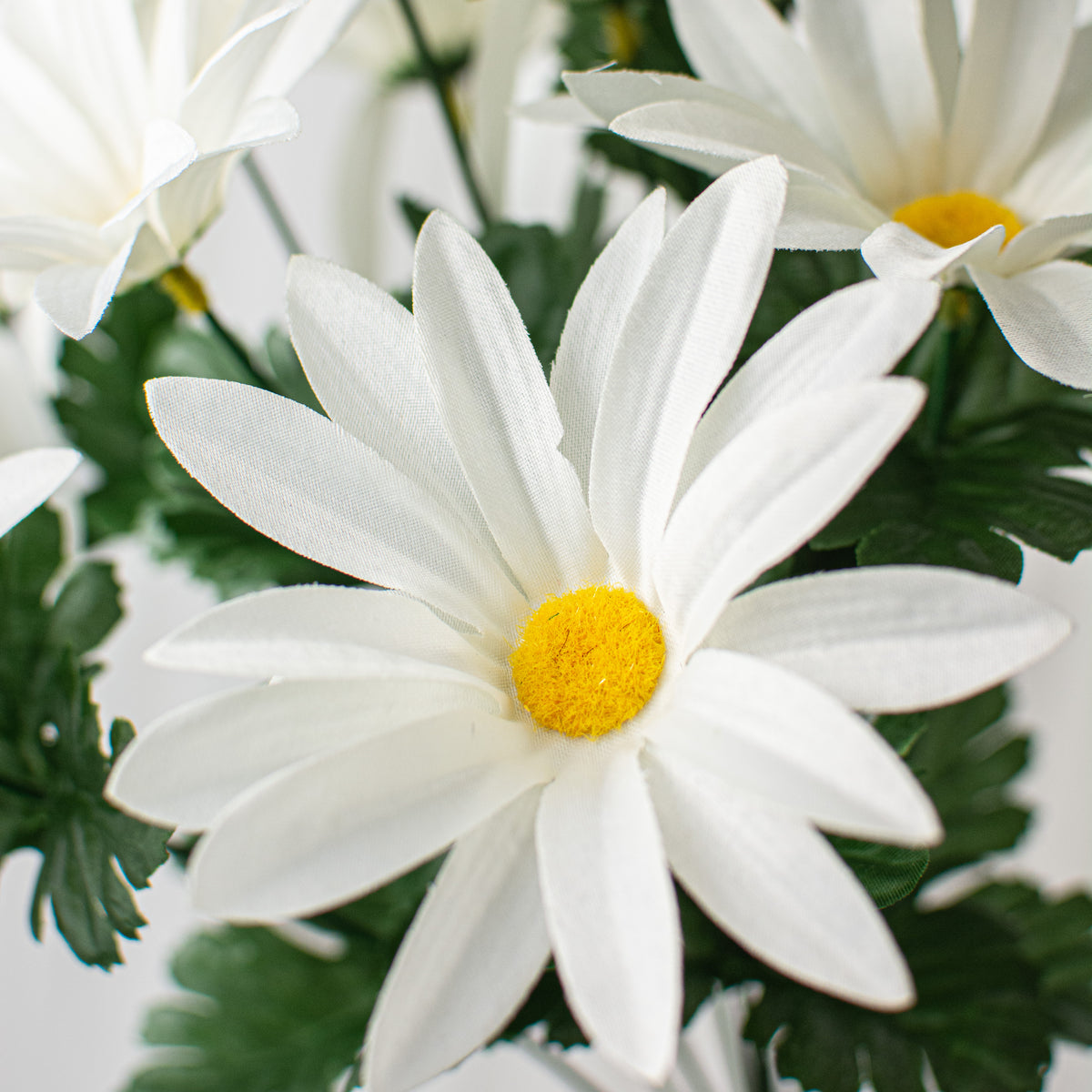 19" Daisy Bush: White (12 Stem) Lifestyle Photo