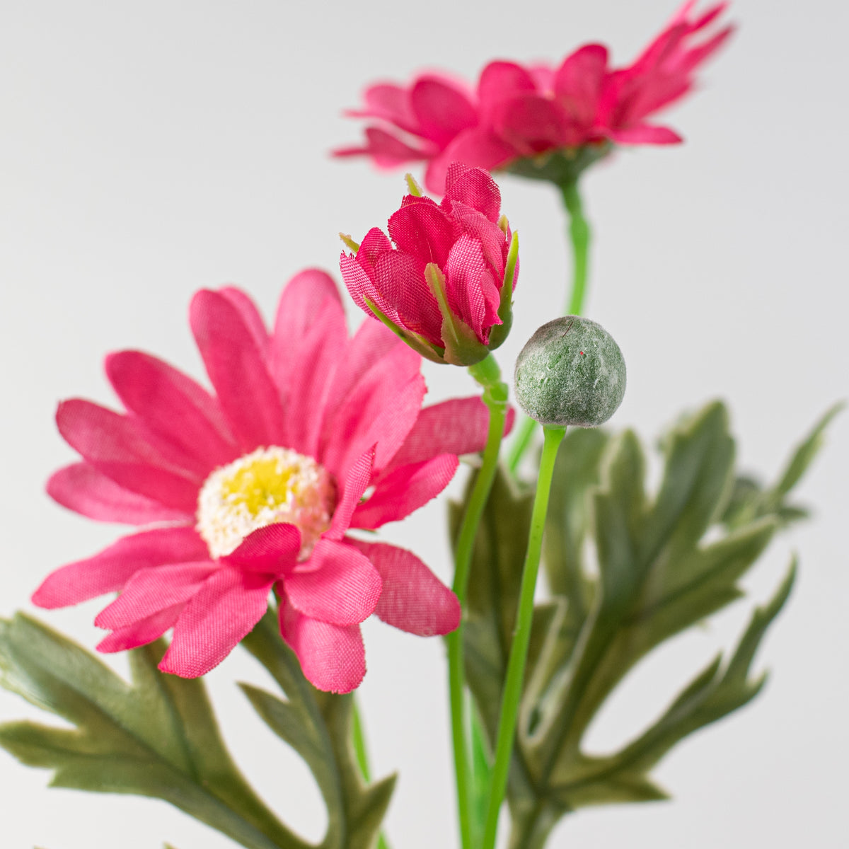 21" Daisy Spray: Fuchsia Pink Lifestyle Photo