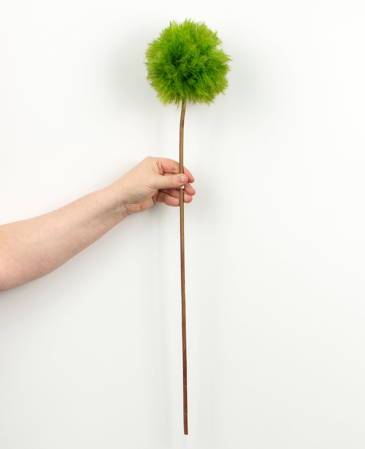 25'' Dandelion Seed Head Stem: Green detail photo 3