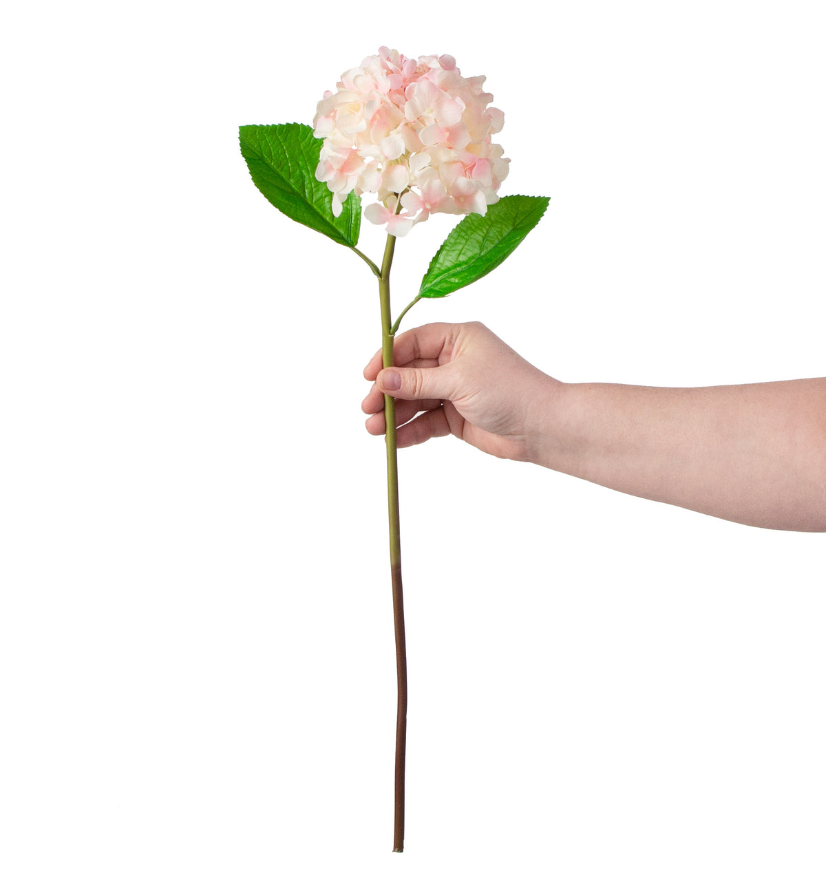 21" Deluxe Hydrangea Stem: Watercolor Pink detail photo 3