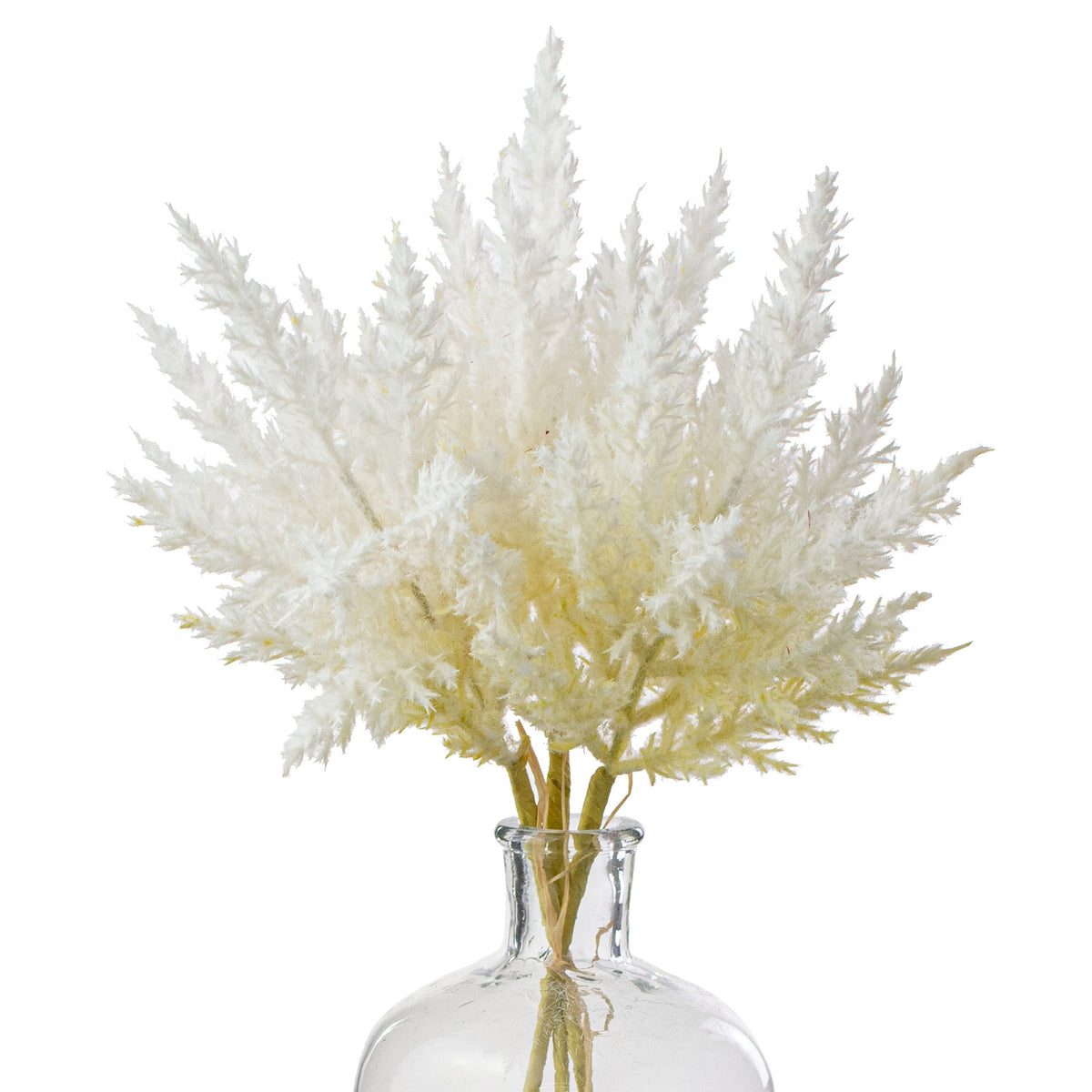 12" Dried Pampas Grass Bundle: Bleached Item Number: 106514
