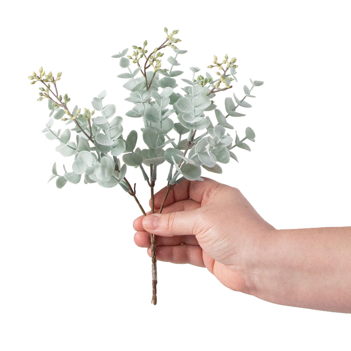 11" Dusty Mini Eucalyptus Bush detail photo 3