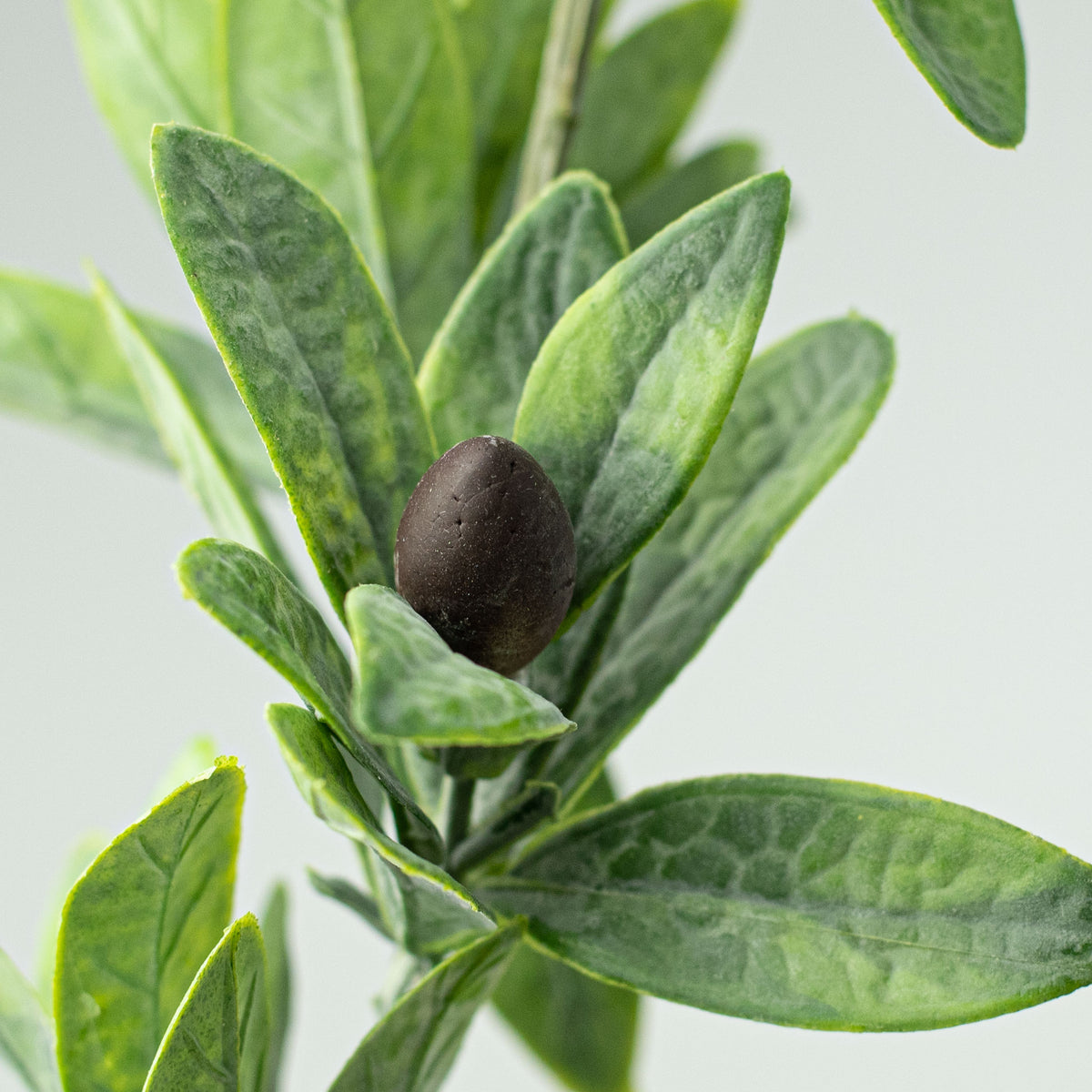 26" Dusty Olive Spray Lifestyle Photo