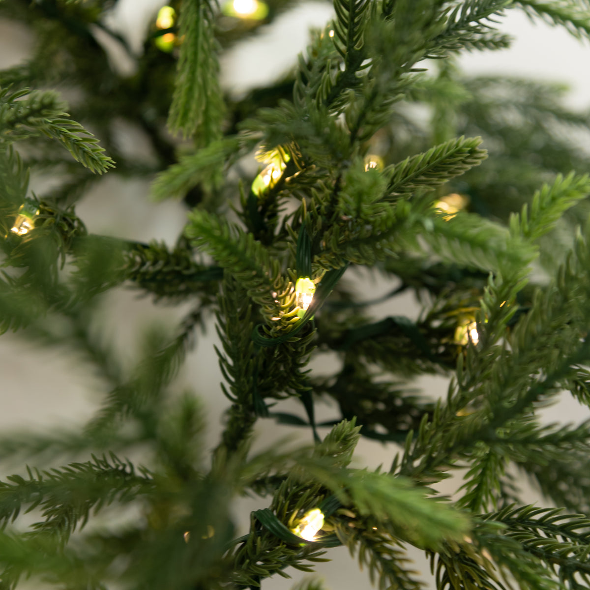6' Norfolk Pine Starlite Lighted Garland (120 Tip)
