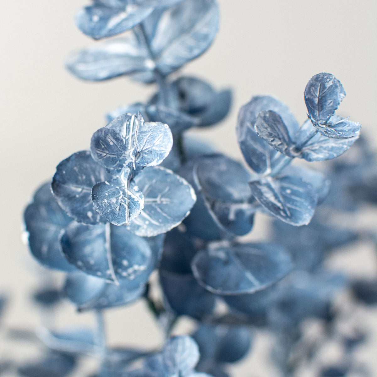 18" Eucalyptus Bush: Blue Lifestyle Photo