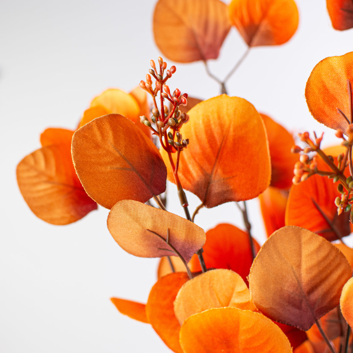 18" Eucalyptus Bush: Orange & Rust Lifestyle Photo