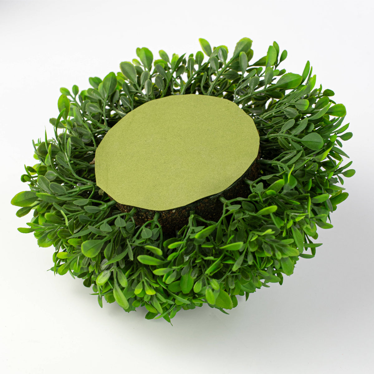 10" Evergreen Boxwood Half-Ball Sphere detail photo 3