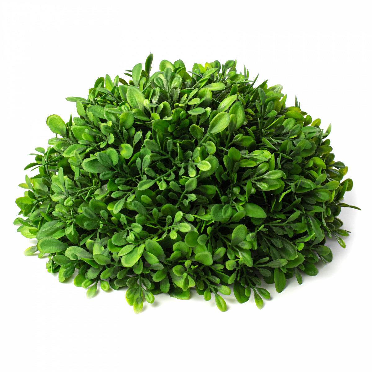 10" Evergreen Boxwood Half-Ball Sphere Item Number: 31785