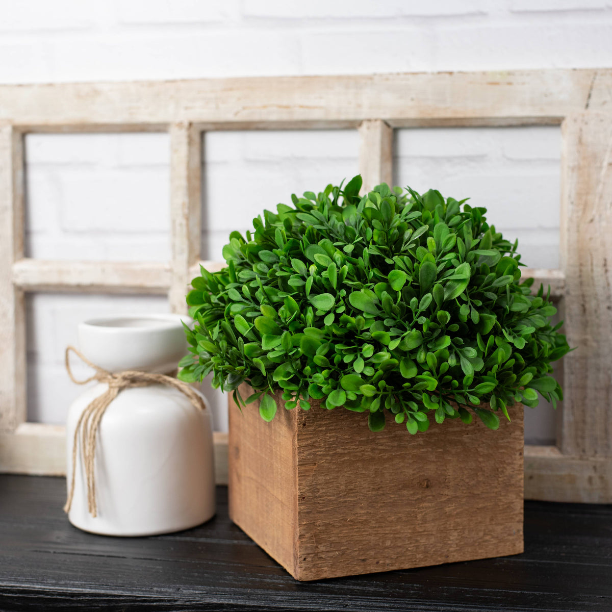 10" Evergreen Boxwood Half-Ball Sphere detail photo 5
