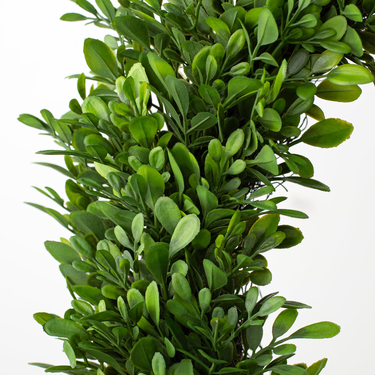 18" Evergreen Boxwood Wreath on Twig Frame detail photo 3