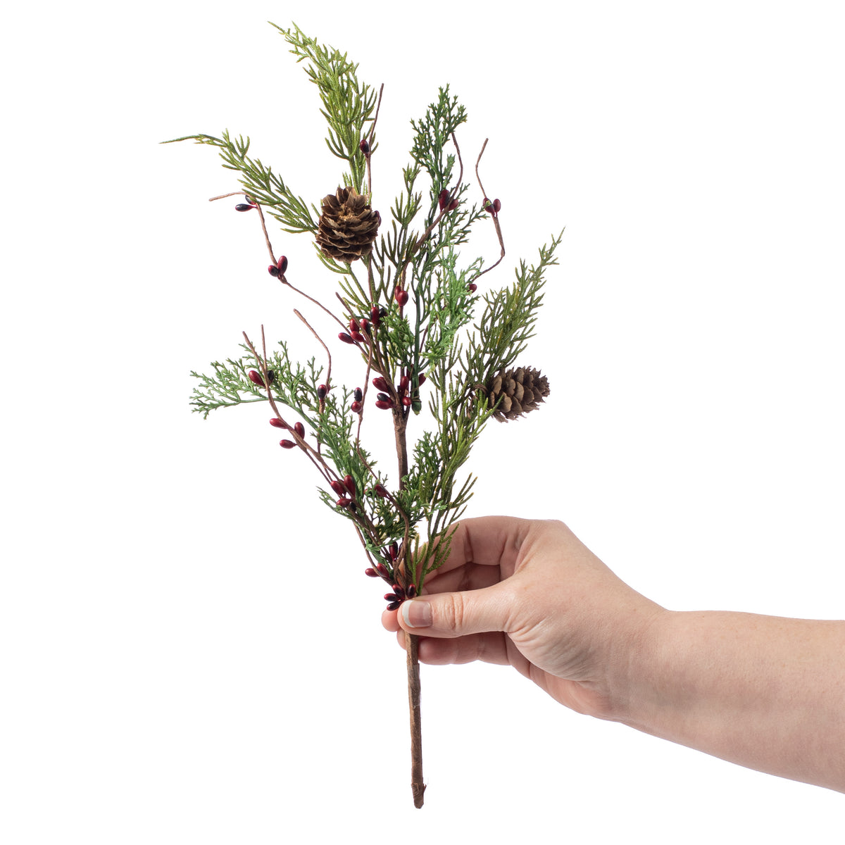 14" Evergreen Pine & Red Pips Pick Lifestyle Photo